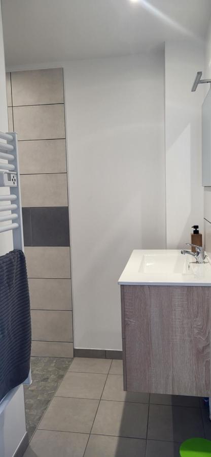 Magnifique Appartement Le Marronnier 克松吕-隆日梅 外观 照片